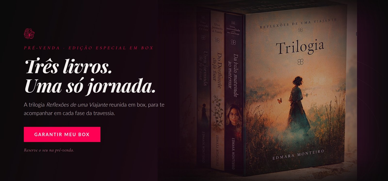 Pré-venda do box da Trilogia Reflexões de uma Viajante